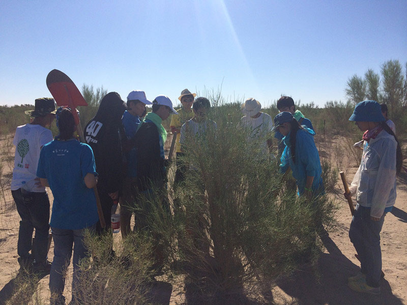 ������Ҫ��һ���ļ��ɺͽ�(j��ng)�(y��n)��ͬ�W(xu��)���_ʼ������һƬ�����ַ��ز����^�m(x��)�����[�ص�����