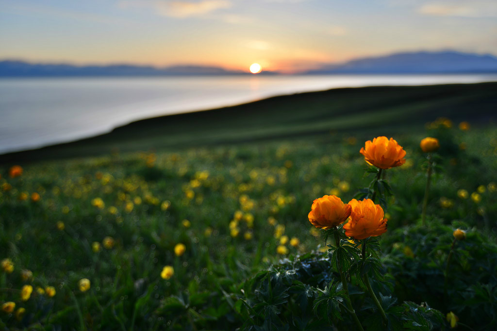 ��������l(xi��ng)�ĸ����