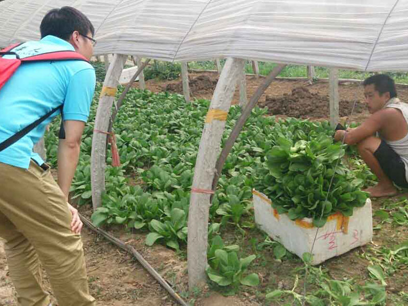 ��(sh��)�`�(du��)�T�c��(d��ng)?sh��)��r(n��ng)��e�O��ͨ������(d��ng)�����(w��n)�}���˽��߲˴�������P(gu��n)��r��