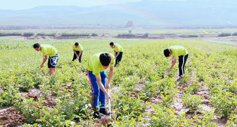 ɽ����ͬ��W(xu��)���ǻ����ơ��l(xi��ng)��־Ը����(w��)�F(tu��n)���M(j��n)�l(xi��ng)������