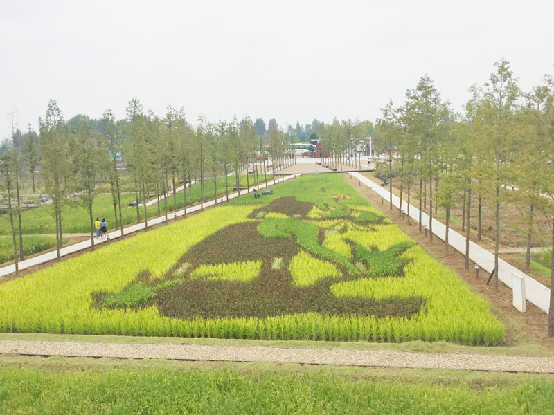 ������L�������������zӰ����־�ۣ�