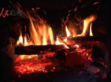 �t��t����~����������ʳ���ρ�(l��i)