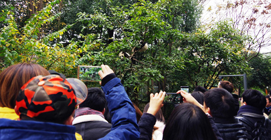 �@�����ӵ������ɶ����W(w��ng)�j���ˁ��cٝ